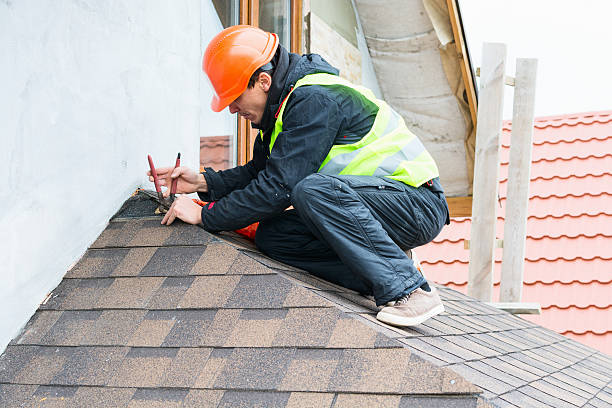 Best Storm Damage Roof Repair  in Pocomoke City, MD
