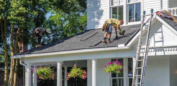 Best Metal Roofing Contractor  in Pocomoke City, MD